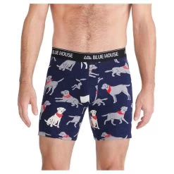 Hatley Little Blue House Men's Bandana Labs Boxer Brief