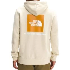 The North Face Men's Box NSE Pullover Hoodie -Stylish Men's Store NF0A4761 3X4 hero