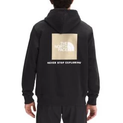 The North Face Men's Box NSE Pullover Hoodie -Stylish Men's Store NF0A4761 50P hero