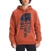 The North Face Men's 2.0 Trivert Pullover Hoodie - Past Season