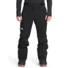The North Face Men's Freedom Insulated Pant