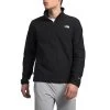 The North Face Men's Alpine Polartec 100 1/2-Zip Fleece