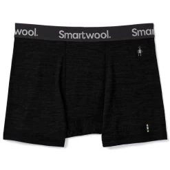 SmartWool Men's Merino Sport 150 Boxer Brief